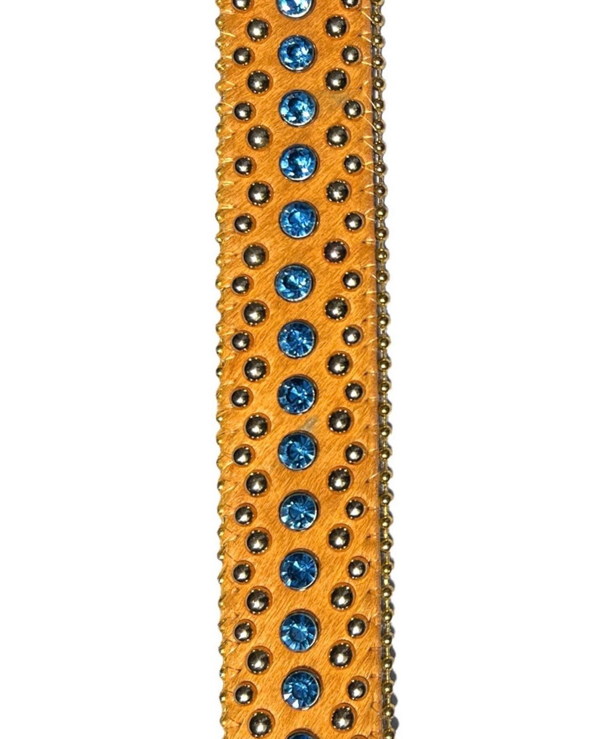 Charzard Belt